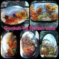 BAHAN BATU AKIK NATURAL LUMUT AQUARIUM TRENGGALEK KWALITAS OK