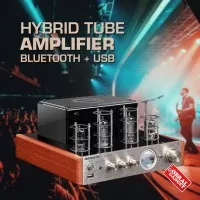 Hybrid Tube HiFi Stereo Integrated Amplifier Bluetooth Hi fi Tabung