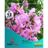 12butir bibit biji benih tanaman hias bunga bonsai bungur pink