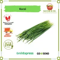 Daun Kucai Segar 250gr | 500gr | 1 kg