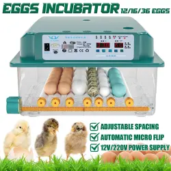 Inkubator Penetas Telur Mini Digital, Mesin Penetas Telur Mini, Inkubator Otomatis 36 Telur, Mesin Penetas Telur, Inkubator Ayam dan Ayam Puyuh