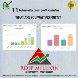 Robot Forex EA RDIP Million Gold - Lock Nomor