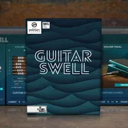 VST In Session Audio - Guitar Swell